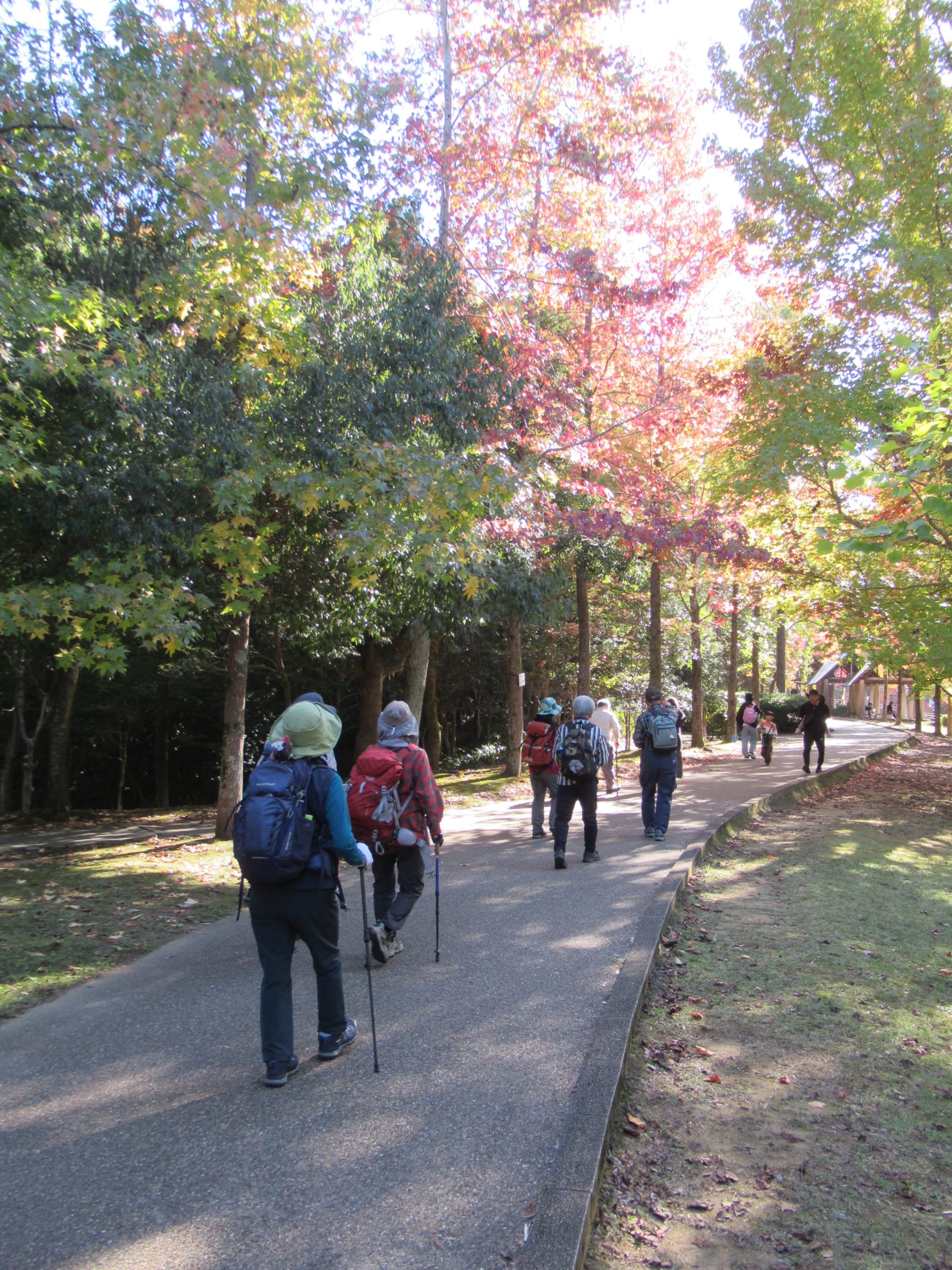 例会2881回　錦織公園散策