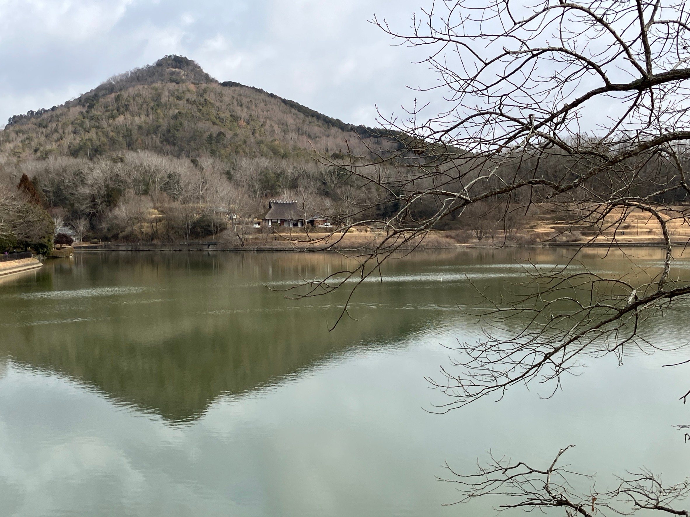 例会2895回　有馬富士