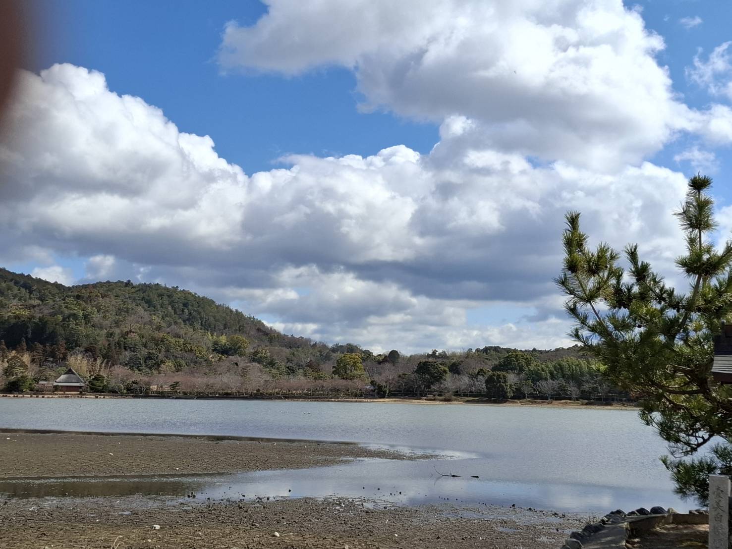 例会2897回　嵯峨野散策