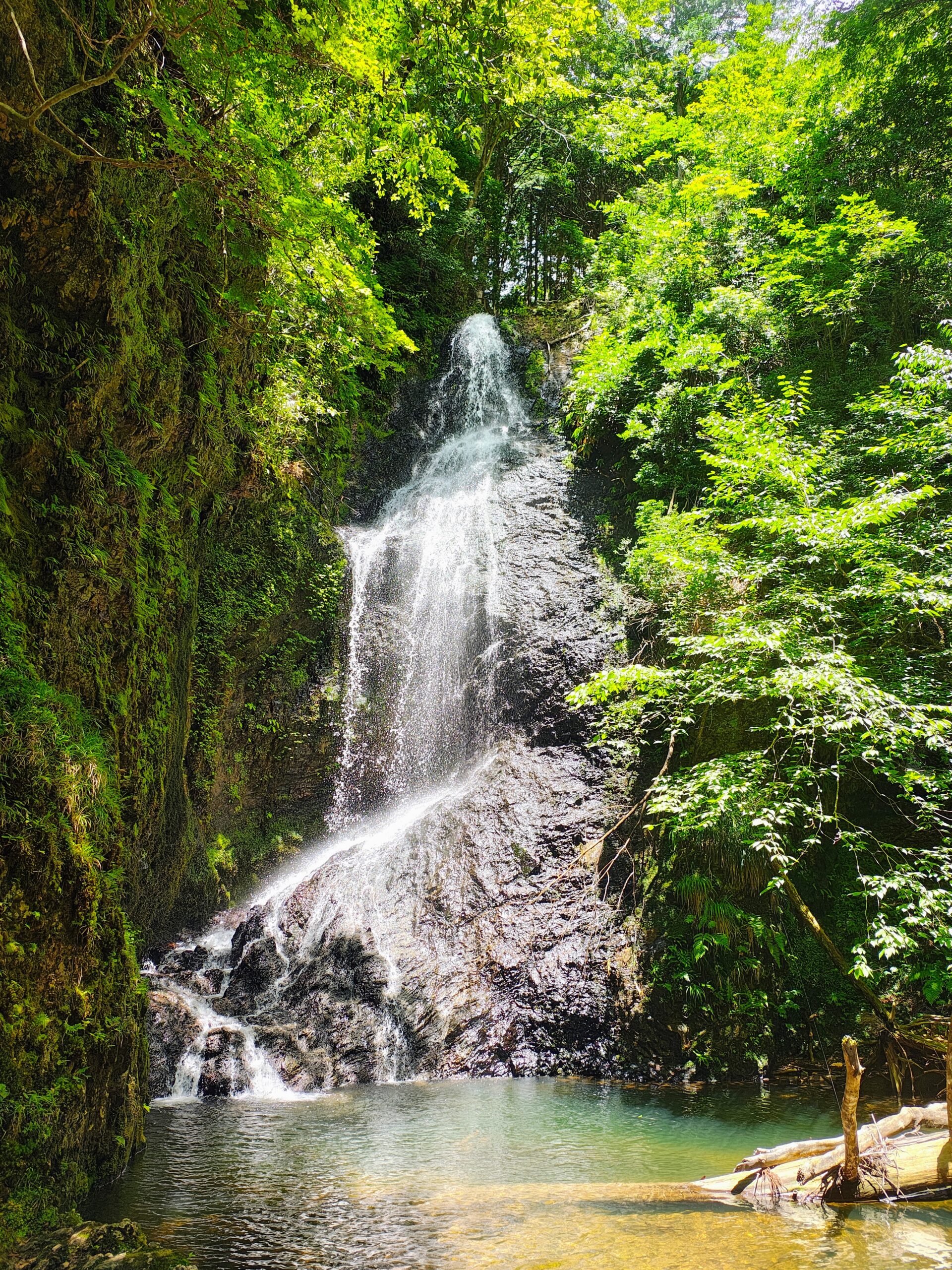 例会2920　滝又の滝