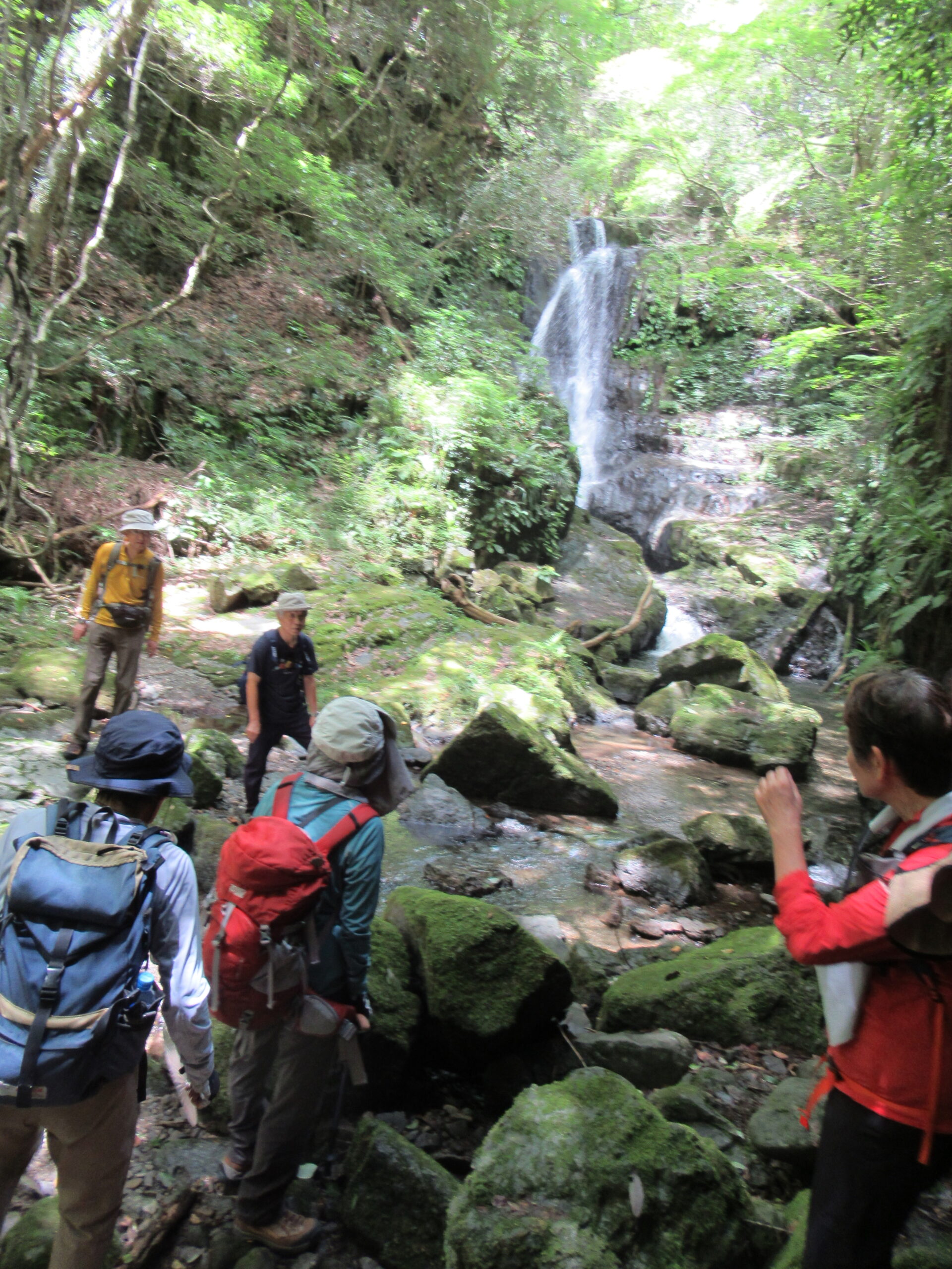 例会2921　滝畑四八滝