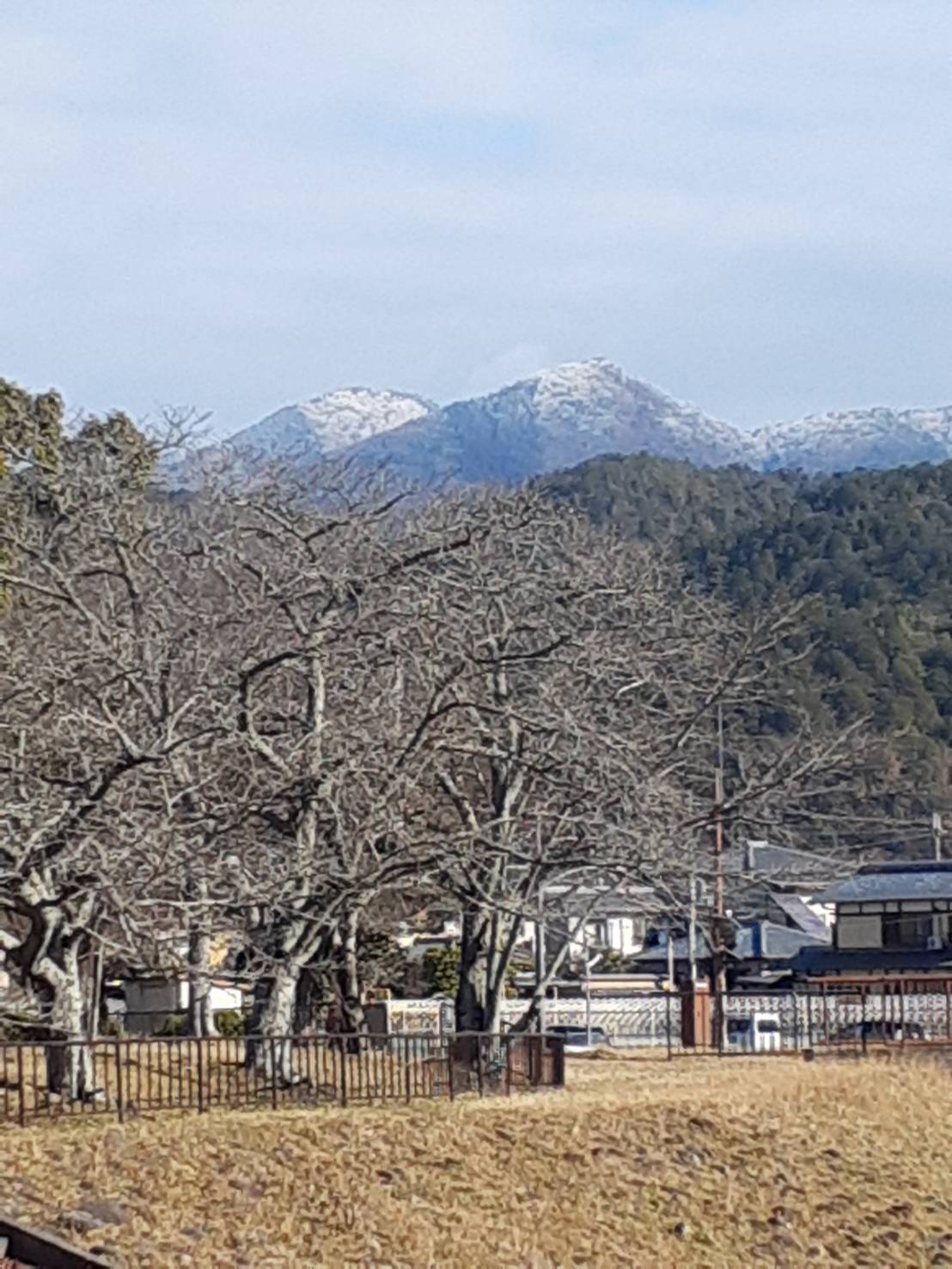 例会2942　洛北散策