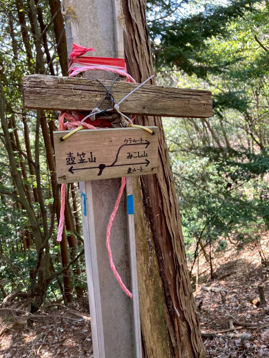 例会2950　壺笠山