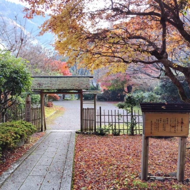 11/23(日)
峰床山例会

午前7時から塚尾さんの車両で目的地(坊村)へ向かう。
紅葉と落ち葉の道を鎌倉山へ登攀し、晩秋の山行を堪能する。
同山から峰床山へ向かう途中、道を誤り40～50分山中を「拔渉」する。峰床山から西側の眺望は北山に珍しく？青々とした山々の峰が秀逸であった。八丁平の湿原鑑賞後、江賀谷へ続く渓流の道は、倒木や荒廃した道に悩まされ、ため息が一挙に出るが反面 皆の口数は激減した。
薄暮の中、疲労と満足感で塚尾さんの車両へ戻りました

#低山ハイキング 
#低山ハイク山好きな人と繋がりたい 
#低山トレッキング 
#峰床山 
#八丁平湿原 
#大阪低山跋渉会