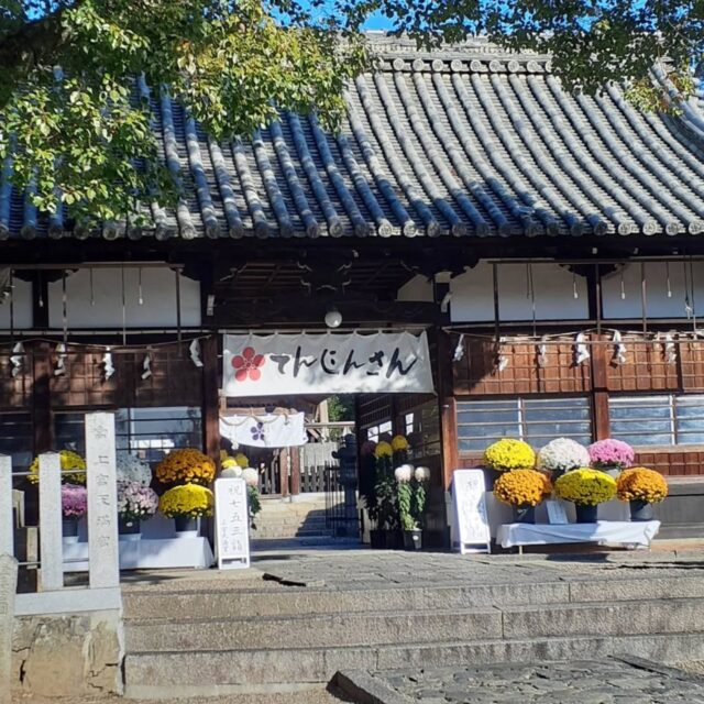 11/30(日)
小春日和の一日、高槻の上宮天満宮から三十六歌仙で有名な伊勢寺、能因法師塚を訪れたのち、太閤道ハイキングコースを若山神社まで歩きました。金龍寺跡では残り紅葉が美しく、展望の良い尾根で昼食。
三川合流の展望尾根で眺めを満喫し、若山神社へ下りました。残り紅葉が目を楽しませてくれました。
ここで解散し、島本駅、阪急水無瀬駅へと下りました。小春日和を満喫した一日でした。

#高槻上宮天満宮
#伊勢寺
#太閤道ハイキングコース
#若宮神社
#低山ハイキング
#低山ハイク山好きな人と繋がりたい 
#大阪低山跋渉会