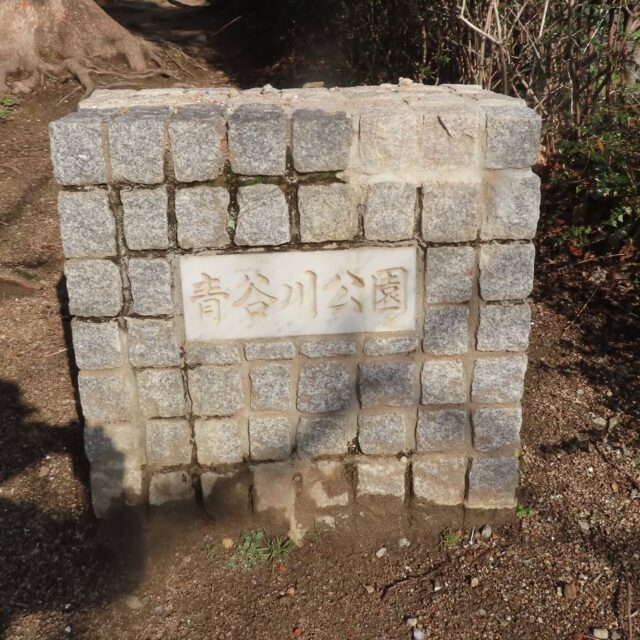 3/7(土)
六甲 長峰山
王子公園駅～行者尾根～掬星台～長峰山～ハチノス谷西尾根～阪急六甲駅縦走　　　　　　　　　　　　　　　　　　　距離11Km　登り936m　下り915ｍ　

心配された天気も回復し、絶好の登山日和となりました。今回は私を入れて4名のメンバーで、王子公園駅を出発。青谷川公園での準備体操とコース確認を経て青谷道登山口より入山しました。
途中参道の、静香園や、つくばね山岳会登山者の登山記録タイムカードが設置された「つくばね寮」を過ぎ、大龍院参拝すませて、いよいよ本日のメインである行者尾根へ。岩場の急登に備え、靴紐とザックの点検を済ませてから取り付きました。
息の上がる険しい岩場が続きましたが、振り返ると大阪湾や紀伊半島、淡路島まで見渡せる大パノラマが広がり、疲れを忘れさせてくれる素晴らしい眺望を堪能しました。予定よりも早く行者尾根下降点に到着。
掬星台11時10分到着、昼食後は、六甲縦走路を経て長峰山を目指しました。長峰山山頂では、神戸の街並みの先にうっすらと瀬戸大橋まで望むことができ、恒例の集合写真を撮影しました。
下山ルートは、直進コースが工事通行止めのため、ハチノス谷西尾根へ迂回しました。ロープが設置された激しい下り坂が続き、足への負担からメンバーに足の攣りが発生する場面もありましたが、休憩とストレッチで無事に切り抜け、全員揃って阪急六甲駅に14時43分到着しました。

#六甲長峰山
#六甲縦走
#低山ハイキング 
#低山好きな人と繋がりたい 
#大阪低山跋渉会