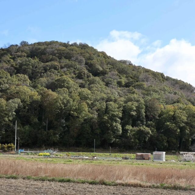 3/14(土)
ときおり晴れ間もありましたが、ほぼ曇天のなか、山道、舗装道と状況に応じて、服装を調整しながらの道行きとなりました。
 
９時過ぎに大和八木駅からスタート。耳成山・香具山・畝傍山の三山どの山も標高が低いのでそれぞれの山頂まで１０分～２０分程度と短く、最後の畝傍山等で急登もありはしましたが、全般的に負荷は少なく感じました。
 
三山を結ぶ舗装道歩きが少々続きはしましたが、途中は藤原宮や本薬師寺跡等の盛りだくさんの史跡や、焼きたてのみたらし団子の店で醤油の香ばしい香りに誘われながら土産物を物色したりしつつ、見所は豊富でした。
 
最後の畝傍山からの下りはゆるやかな西側の登山道から橿原神宮をへて、１６時橿原神宮駅に到着、ここでの解散となりました。

#大和三山
#耳成山
#香具山
#畝傍山
#大阪低山跋渉会